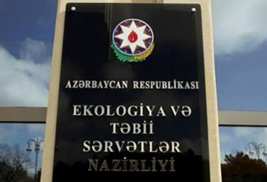 Meşə fonduna ziyan vuran şəxs cəzalandırılıb