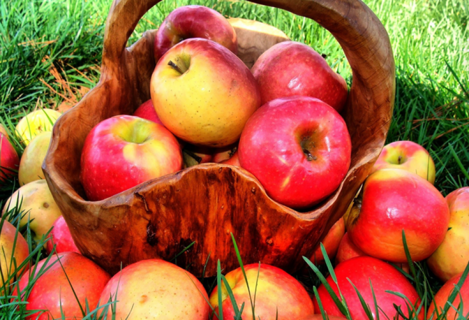 Les exportations azerbaïdjanaises de pommes ont diminué