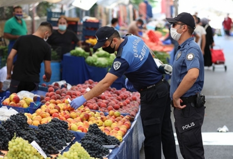 Türkiyənin 81 vilayətində koronavirusa qarşı genişmiqyaslı yoxlamalar aparılır