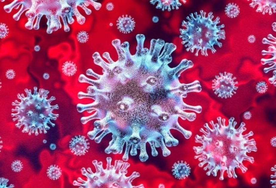 Le bilan du coronavirus en Bulgarie