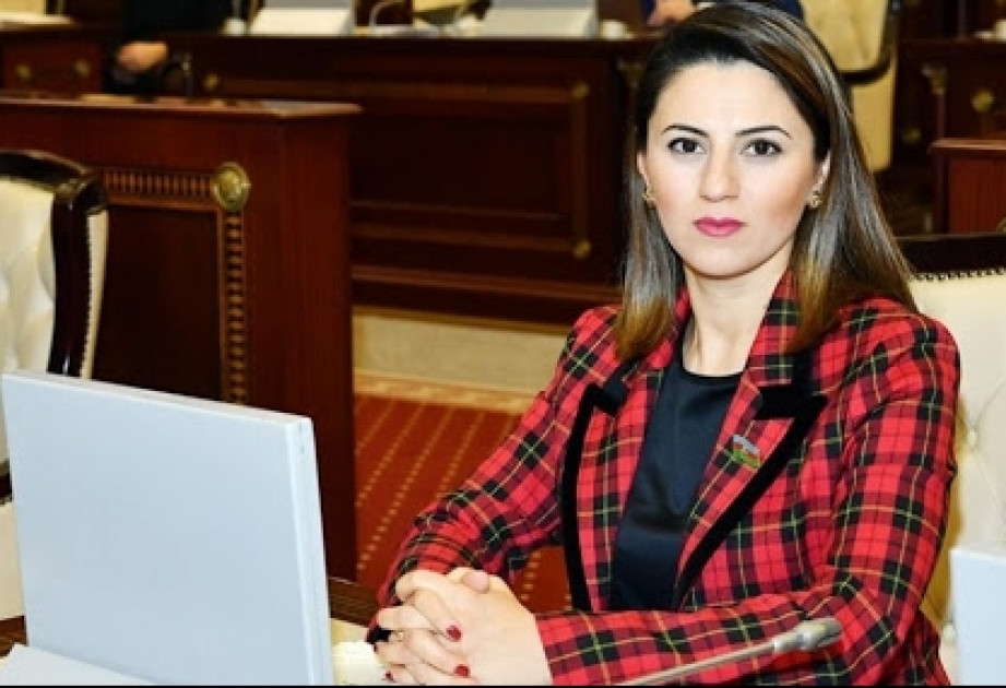 Deputat: Ermənistan bilməlidir ki, Azərbaycan öz torpaqlarının işğalı ilə heç zaman barışmayacaq