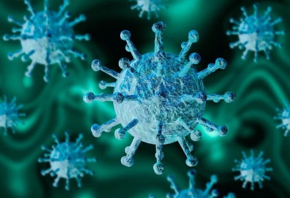Reanimasiya şöbələrində müalicə alan və süni tənəffüs cihazına qoşulan koronavirus xəstələrinin sayı açıqlanıb