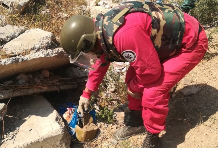 Qazax rayonunda əl qumbarası, parladıcı və patronlar aşkarlanıb