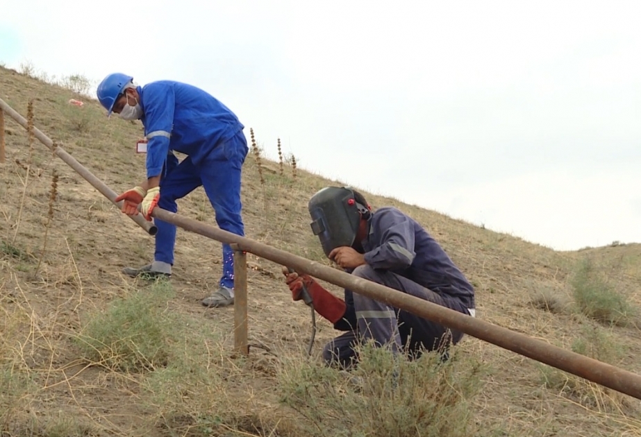 Tovuzun Ağdam kəndində müharibə veteranlarının evlərinə qaz çəkilir