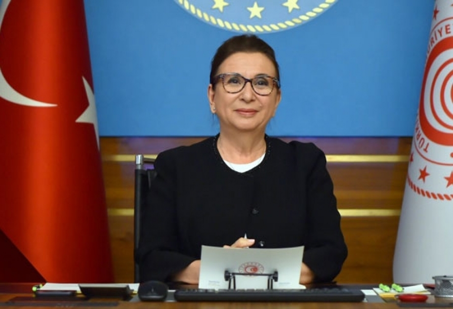 Türkiyədə qalma müddəti bitən maşınların ölkədən çıxması üçün sadələşdirilmiş qaydaların müddəti uzadılıb