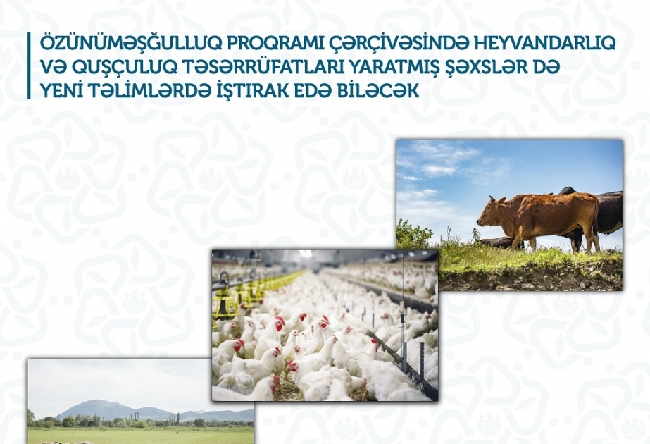 Ağdam və Bərdə rayonları üzrə özünüməşğulluq proqramı iştirakçıları da yeni təlimlərdə iştirak edə biləcək