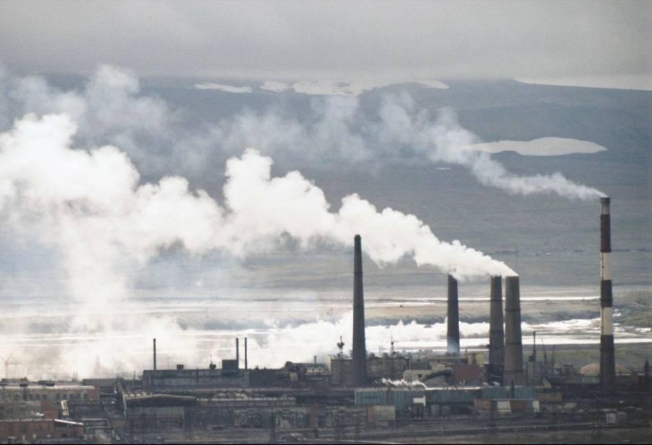 Alimlər: Atmosferin çirklənməsi ürək-damar xəstəlikləri riskini artırır