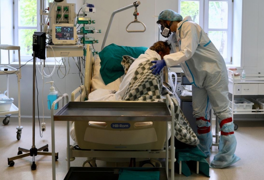 Niderland və Belçikada koronavirusa təkrar yoluxma halları müşahidə edilib