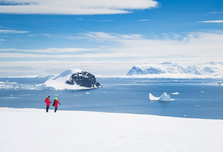 ДНК членистоногих позволило узнать, когда ледники Антарктиды отступали в последний раз