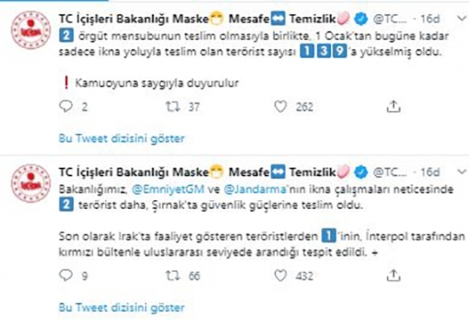 Beynəlxalq axtarışa verilən terrorçu Türkiyə təhlükəsizlik qüvvələrinə təslim olub