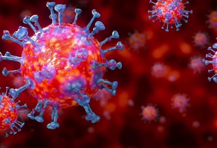 Avqustun 10-dan 16-dək Azərbaycanda yeni növ koronavirus infeksiyasından 1511 nəfər sağalıb