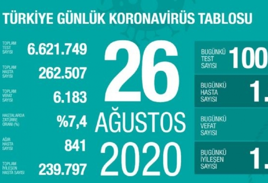 COVID-19: Türkei meldet 1313 Neuinfizierte