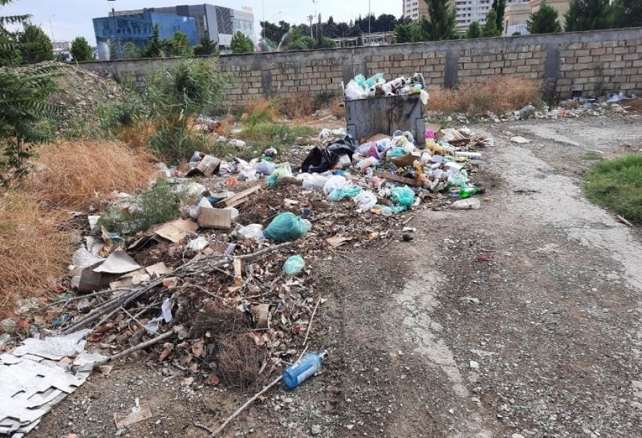 Binəqədidə sanitar təmizliklə bağlı nöqsanlara görə vəzifəli şəxslər cəzalandırılıb