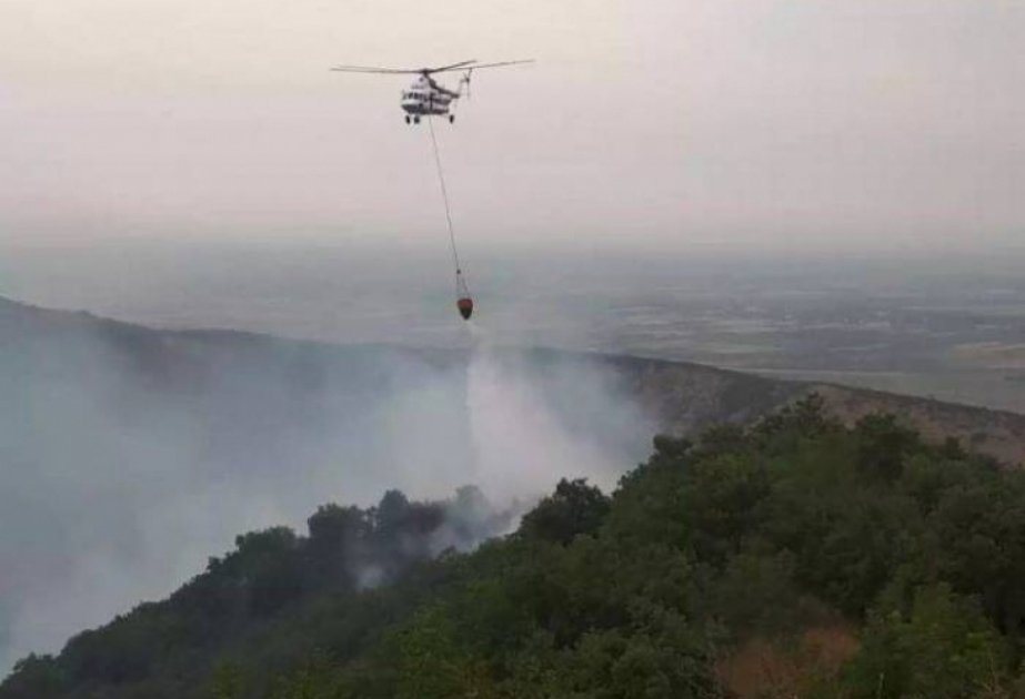FHN: Küləkli hava şəraiti və yanğının mürəkkəb relyefli yüksək dağ massivində olması yanğınsöndürmə işlərini çətinləşdirir
