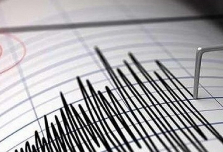 贾利拉巴德区发生3.1地震