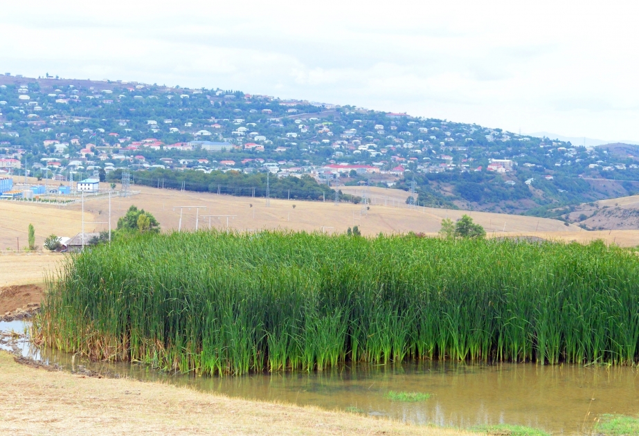 Lérik – une des régions fascinantes de l’Azerbaïdjan