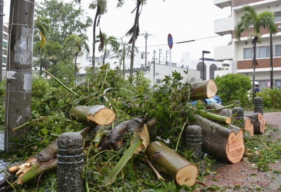 Le typhon Maysak continue de balayer le sud du Japon