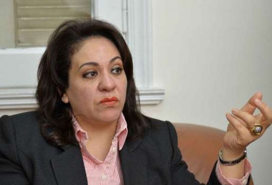 عضوة المجلس المصري للعلاقات الخارجية: على المجتمع الدولي أن يمارس الضغط على أرمينيا
