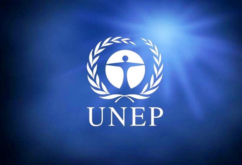UNEP: ərzaq sistemlərində islahatlar qlobal istiləşmə ilə mübarizə aparmağa kömək edəcək