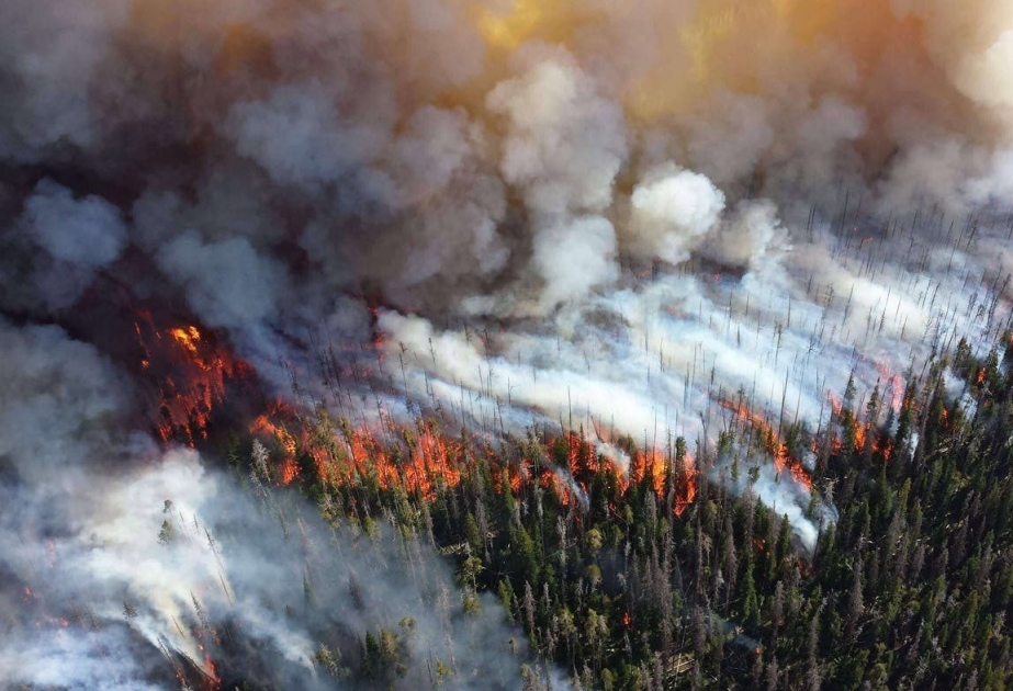 Incendios forestales causan nuevo récord de emisiones de CO2 en el Círculo Polar Ártico