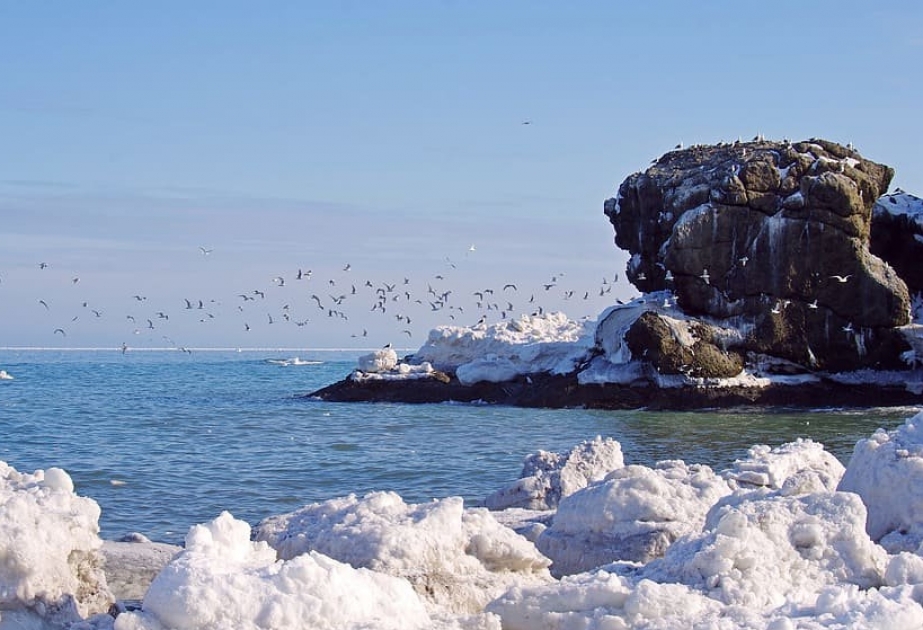 Площадь льда в Беринговом море достигла минимума за 5 500 лет