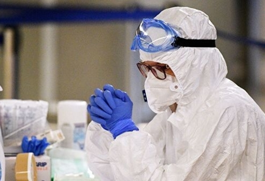 Pakistan reports 498 coronavirus cases in one day