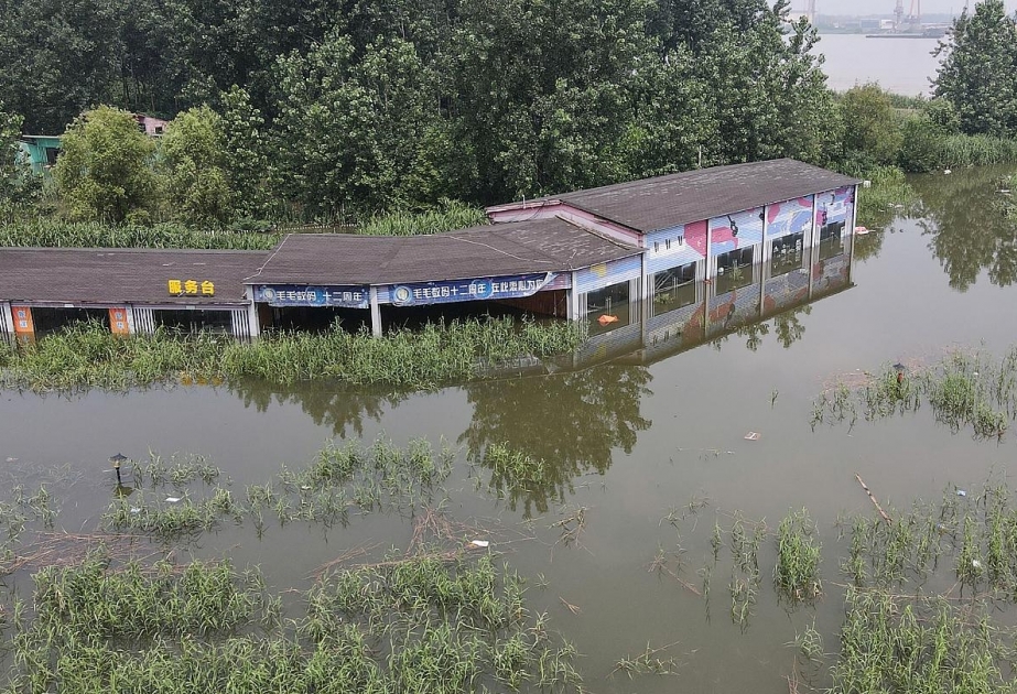 Уровень воды в 15 реках провинции Хэйлунцзян значительно поднялся из-за тайфуна «Майсак»