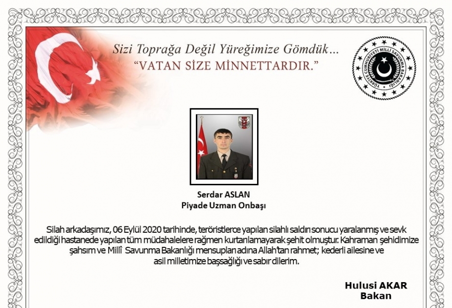 Türkiyə ordusunun hərbçisi Suriyada şəhid olub