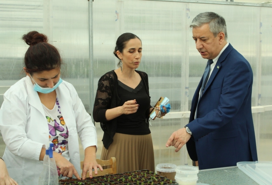 Özbəkistanın nümayəndə heyəti Qubadakı Meyvəçilik və Çayçılıq Elmi-Tədqiqat İnstitutunda olub