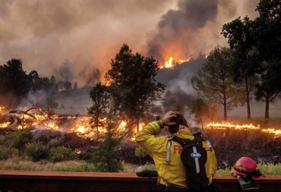 Губернатор Калифорнии объявил чрезвычайное положение в связи с лесными пожарами