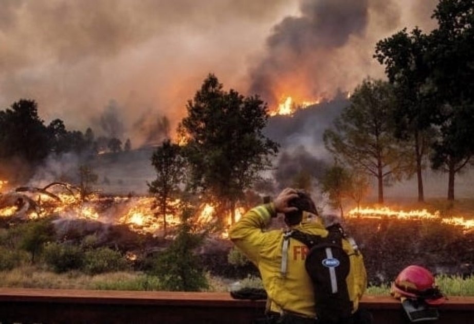 L'état d'urgence déclaré en Californie en raison des feux de forêt