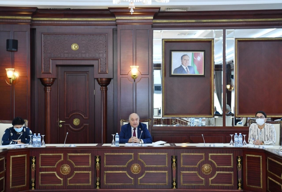 Milli Məclisin Əmək və sosial siyasət komitəsinin iclası keçirilib