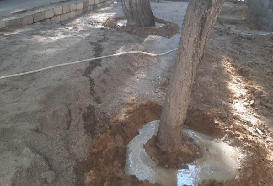 Bakı Şəhər İcra Hakimiyyəti Mətbuat xidmətinin məlumatı
