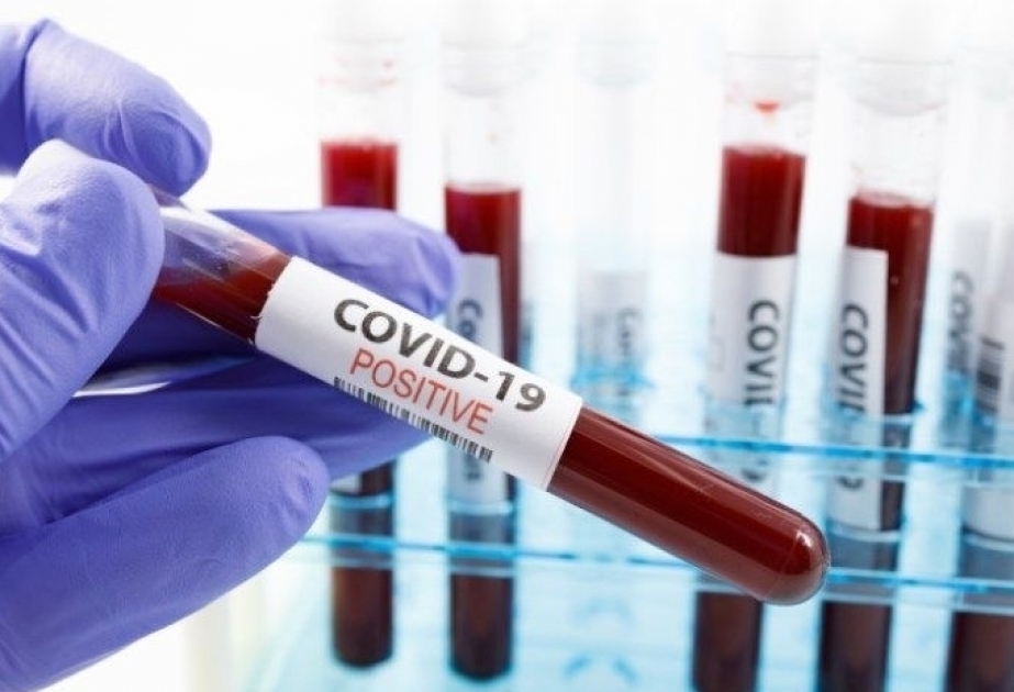 Le bilan du coronavirus en Bulgarie