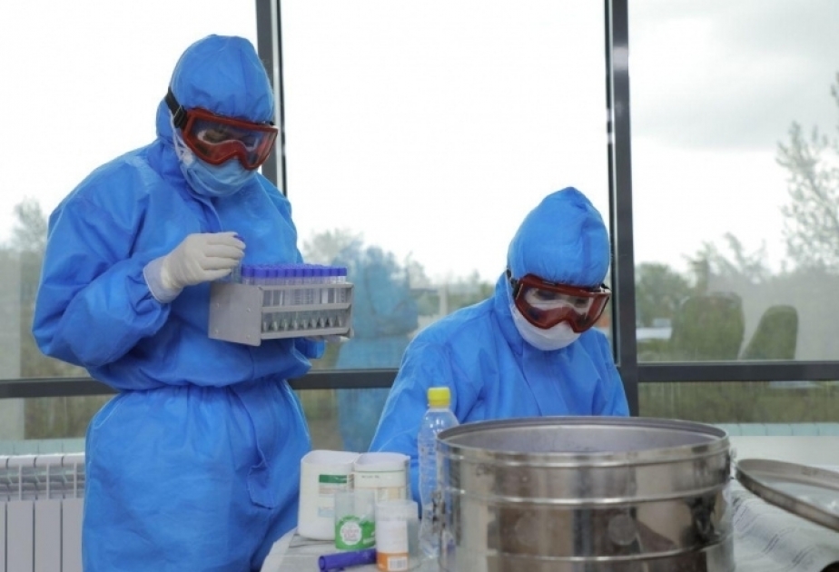 Kyrgyzstan reports 87 new coronavirus cases, 44 613 in total