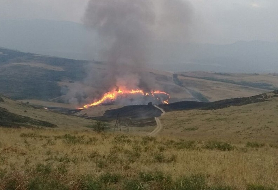 Cəlilabadda bir hektar sahədə quru ot və ağac kötükləri yanıb