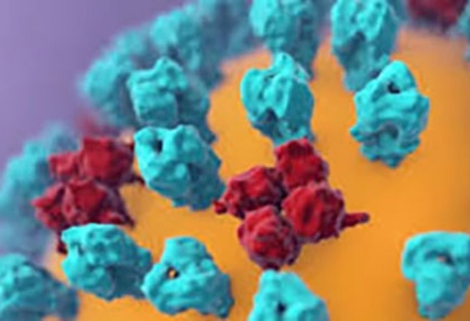 Во Франции за сутки выявили почти 10 тысяч новых случаев заражения коронавирусом