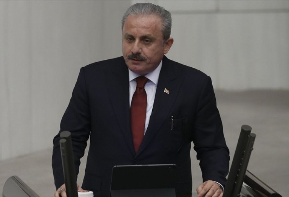 Мустафа Шентоп: Сказанные Президентом Азербайджана слова во время приема посла Греции затронули сердца 83-миллионного населения Турции
