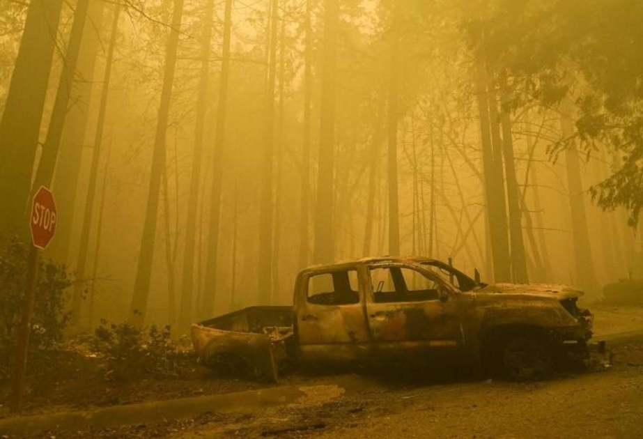 Waldbrände in den USA: Mehr als 500.000 Bewohner betroffener Gebiete müssen ihre Häuser verlassen