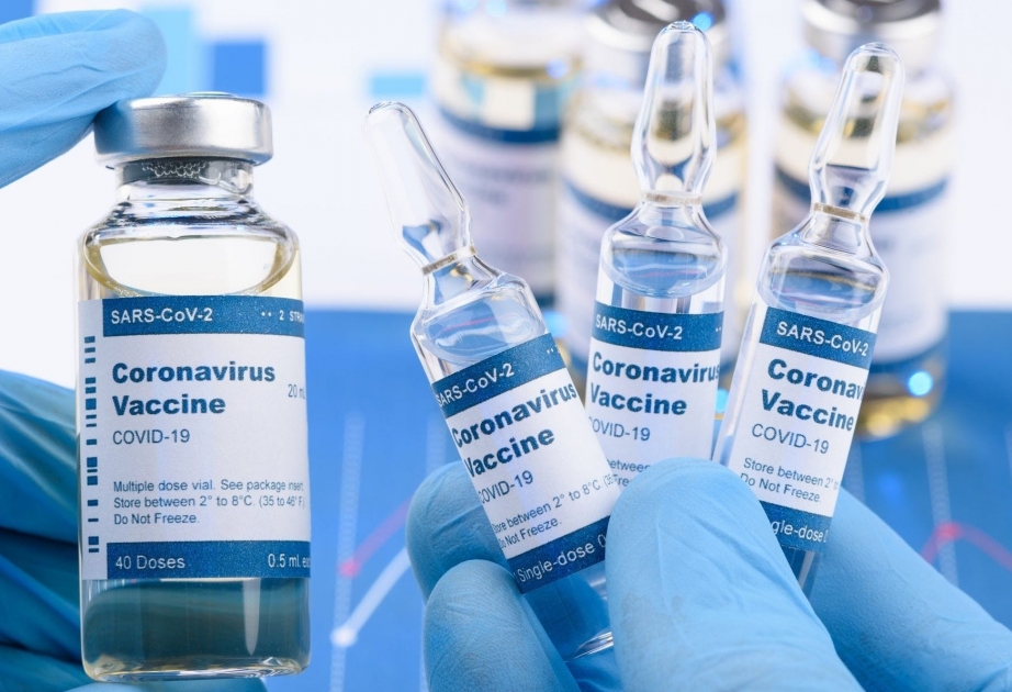 Генеральный директор Pfizer: к октябрю будет известно, будет ли вакцина от COVID-19