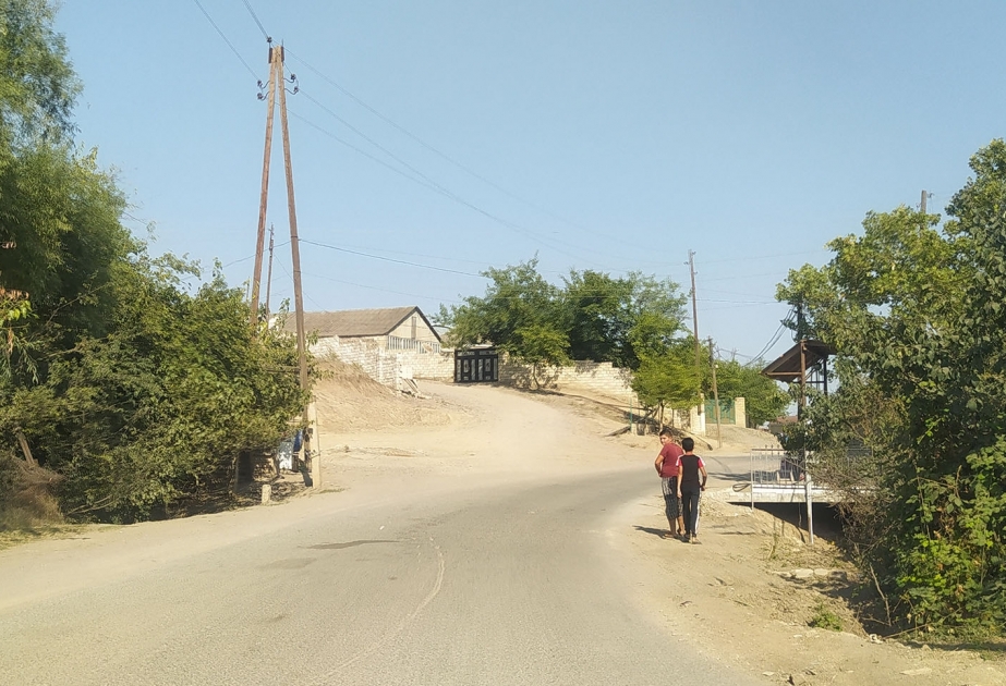 Ermənilər Əlibəyli kəndini atəşə tutmaqda davam edir –  Tovuzdan reportaj FOTO  VİDEO
