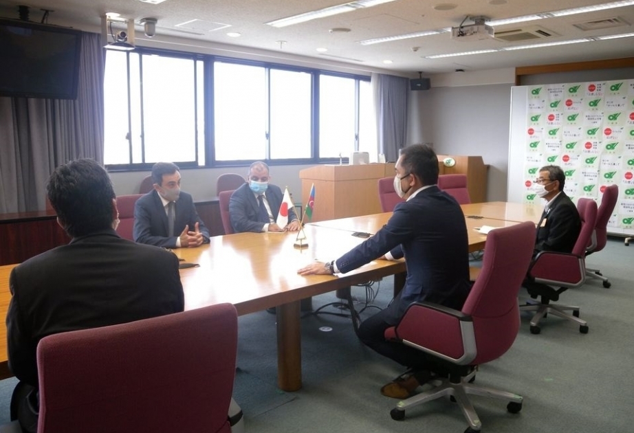 Azerbaijan, Japan discuss cooperation prospects