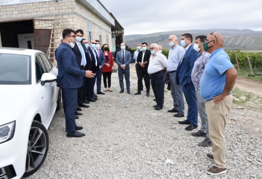 Aqrar sığorta mexanizminin tətbiqi ilə bağlı fermerlərlə görüşlərə başlanılıb