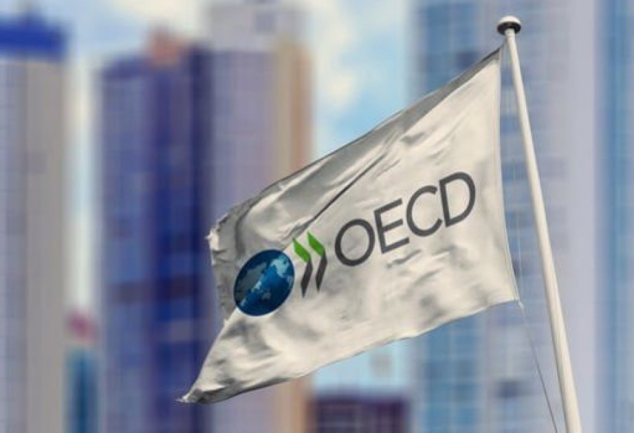 OECD: Cari ildə iqtisadi azalma o qədər də böyük olmayacaq