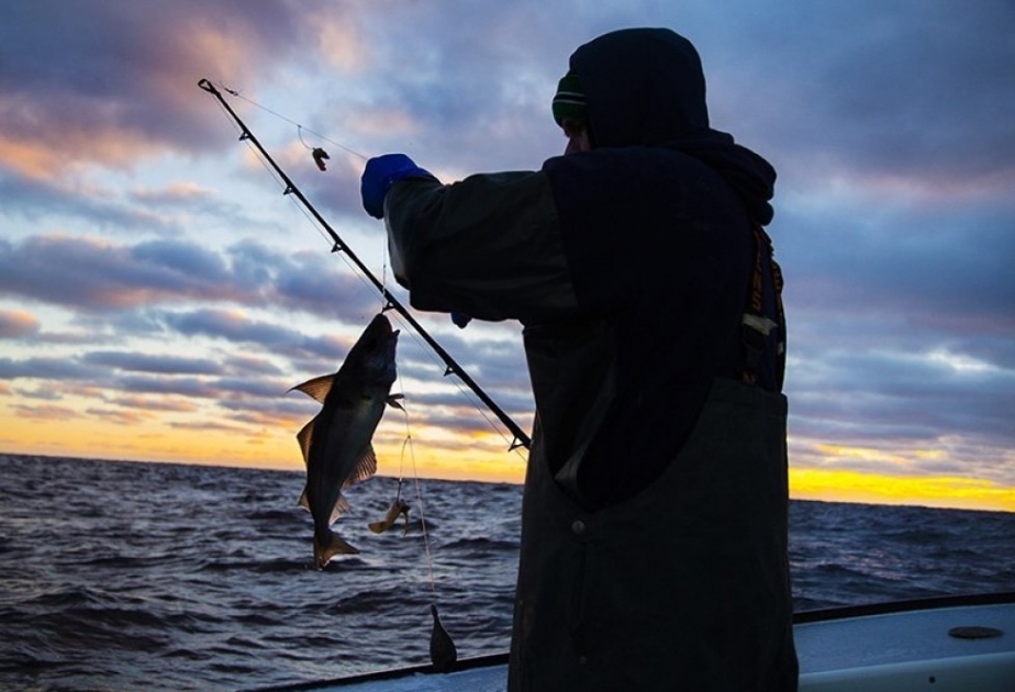 За незаконную ловлю рыбы применен штраф в размере 1000 манатов