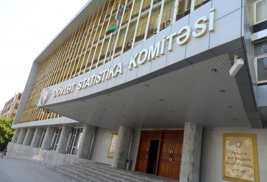 Tütün məmulatlarının istehsalı artıb