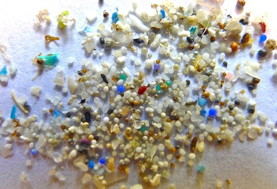 Микропластик встречается повсеместно в пресноводных отложениях