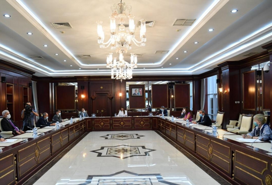Milli Məclisin Mədəniyyət komitəsinin iclası keçirilib