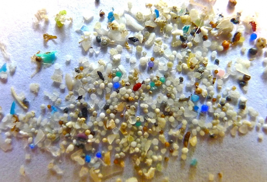 Mikroplastik hissəciklərə bütün şirin su çöküntülərində rast gəlinir