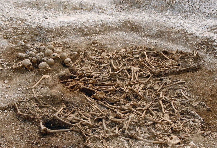 Alimlər vikinqlərin genetik tədqiqatları ilə bağlı nəticələri açıqlayıblar